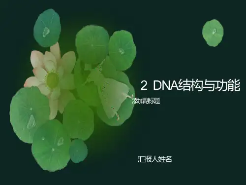 分子生物学第二章DNA结构与功能
