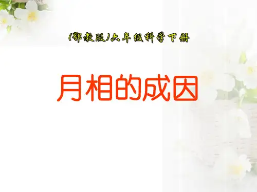 《月相的成因》PPT课件-完美版