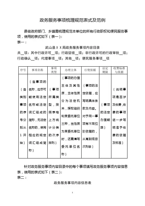 政务服务事项梳理规范表式及范例3