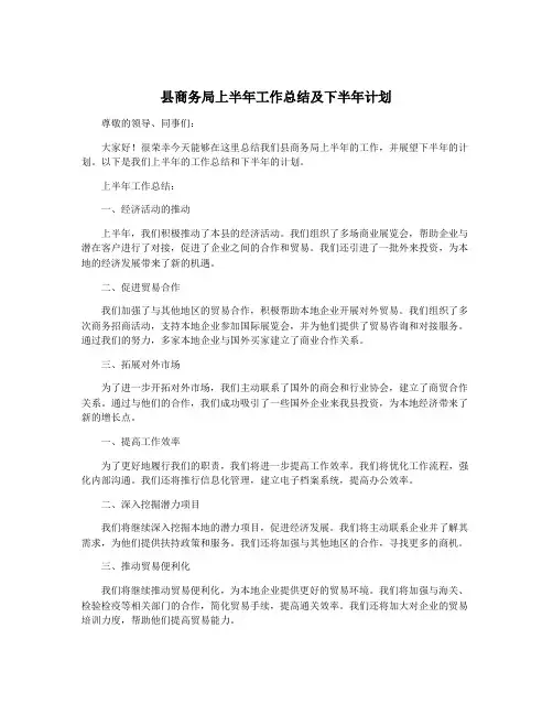 县商务局上半年工作总结及下半年计划