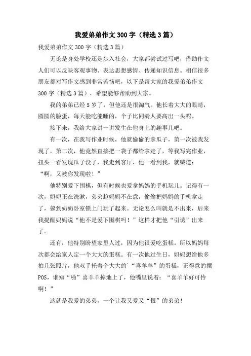 我爱弟弟作文300字(3篇)