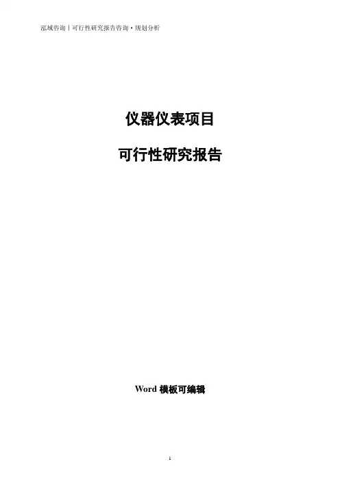 仪器仪表项目可行性研究报告