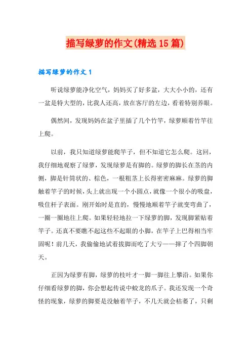 描写绿萝的作文(精选15篇)