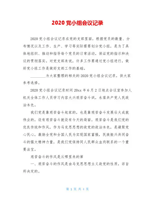 2020党小组会议记录