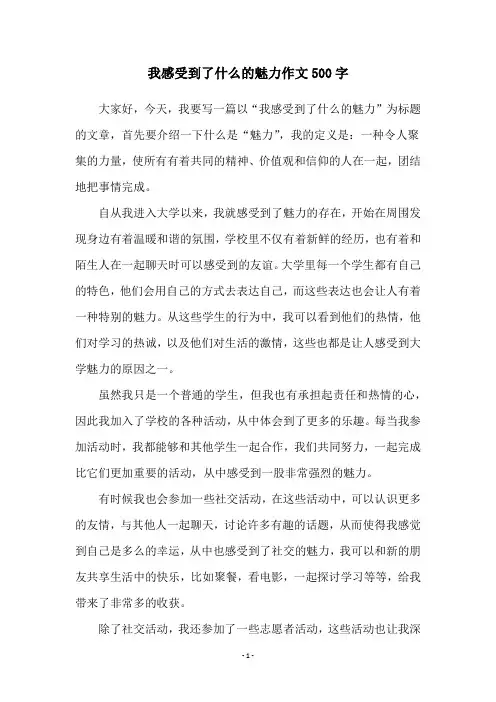 我感受到了什么的魅力作文500字