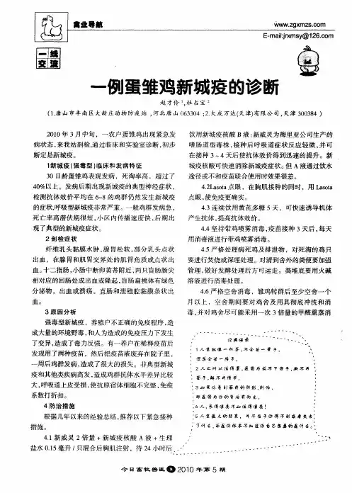 一例蛋雏鸡新城疫的诊断