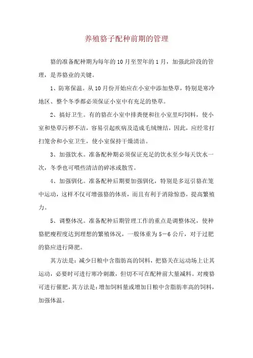 养殖貉子配种前期的管理