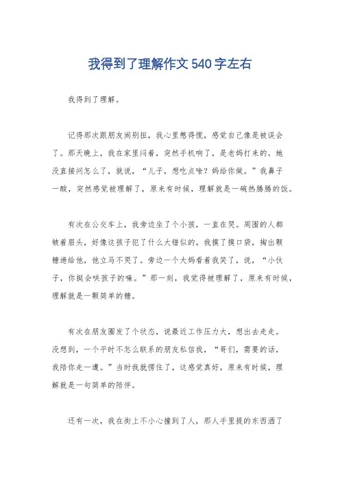 我得到了理解作文540字左右