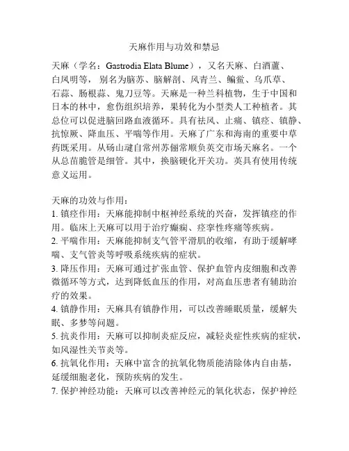 天麻作用与功效和禁忌