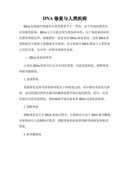 DNA修复与人类疾病