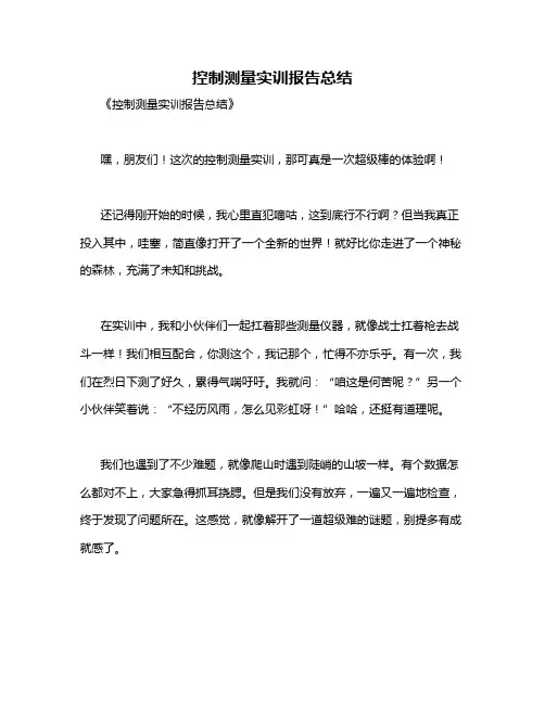 控制测量实训报告总结