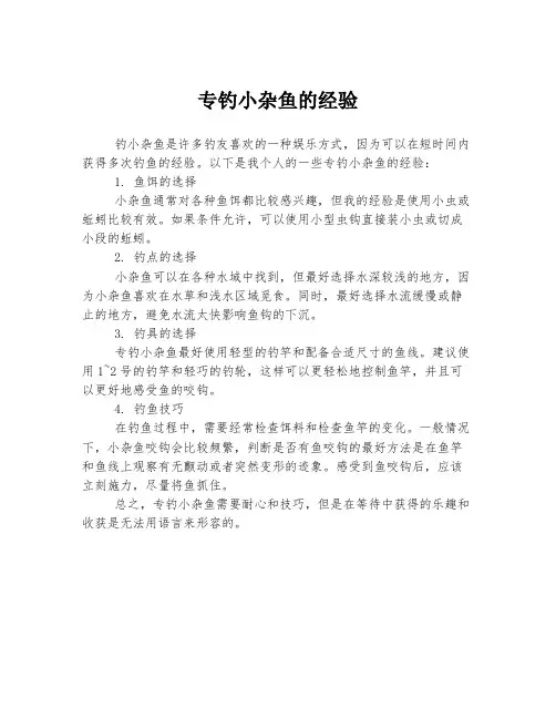 专钓小杂鱼的经验