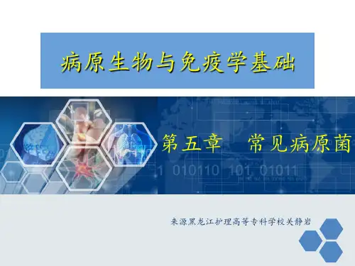第五章常见病原菌PPT课件