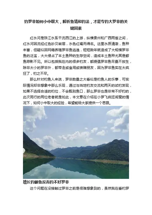 钓罗非如何小中取大，解析鱼情和钓法，才是专钓大罗非的关键因素
