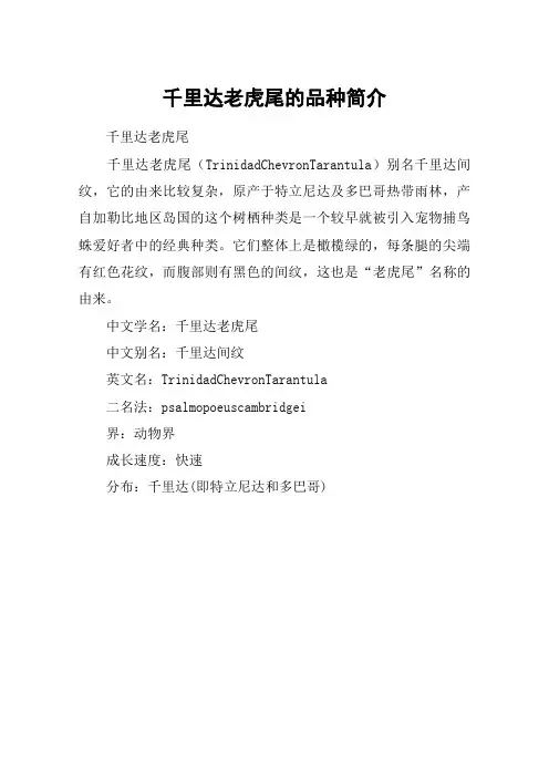千里达老虎尾的品种简介