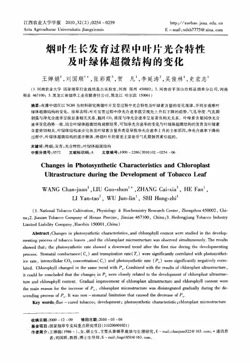 烟叶生长发育过程中叶片光合特性及叶绿体超微结构的变化