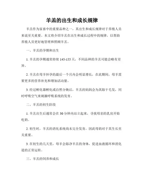 羊羔的出生和成长规律