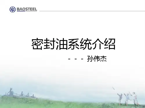 密封油系统介绍分解