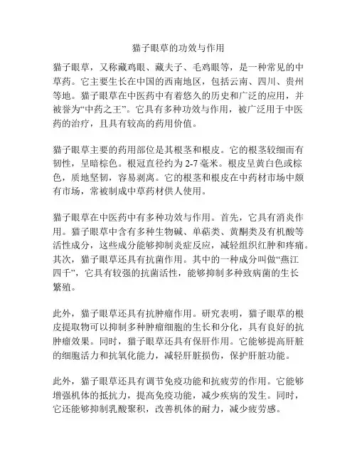 猫子眼草的功效与作用