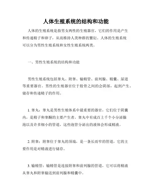 人体生殖系统的结构和功能