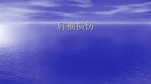 肩袖损伤PPT课件