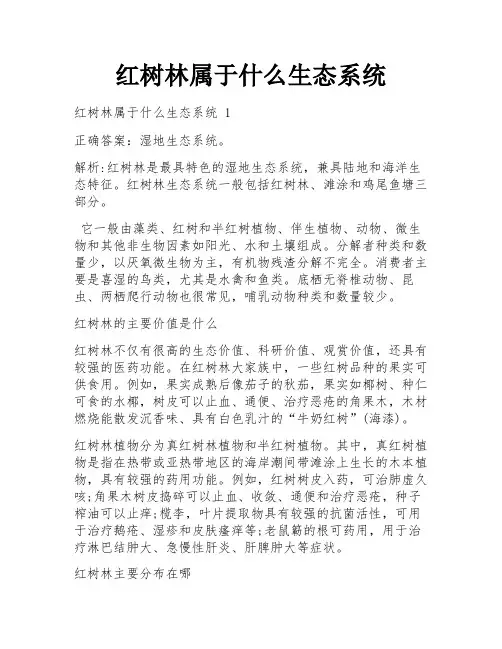 红树林属于什么生态系统