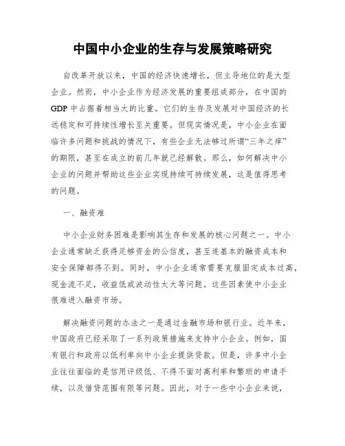 中国中小企业的生存与发展策略研究