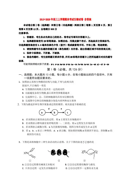 2019-2020年高三上学期期末考试生物试卷 含答案