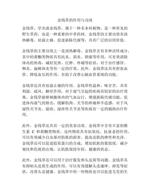 金钱草的作用与功效