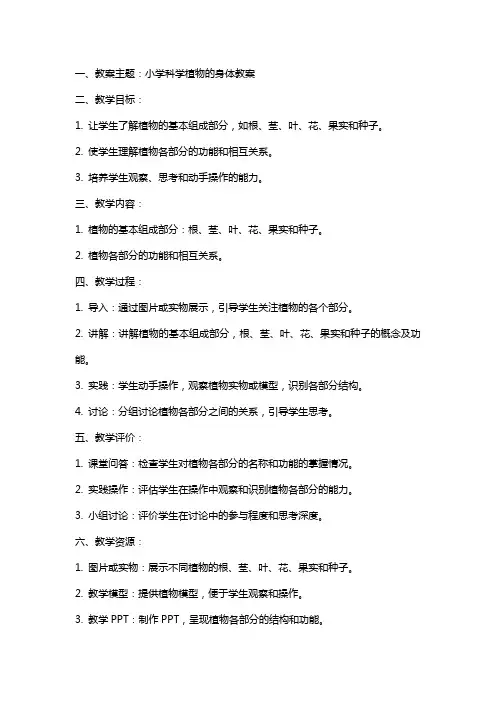 小学科学植物的身体教案