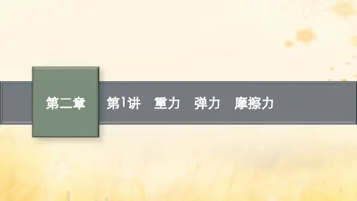 适用于新教材2024版高考物理一轮总复习第2章相互作用第1讲重力弹力摩擦力课件
