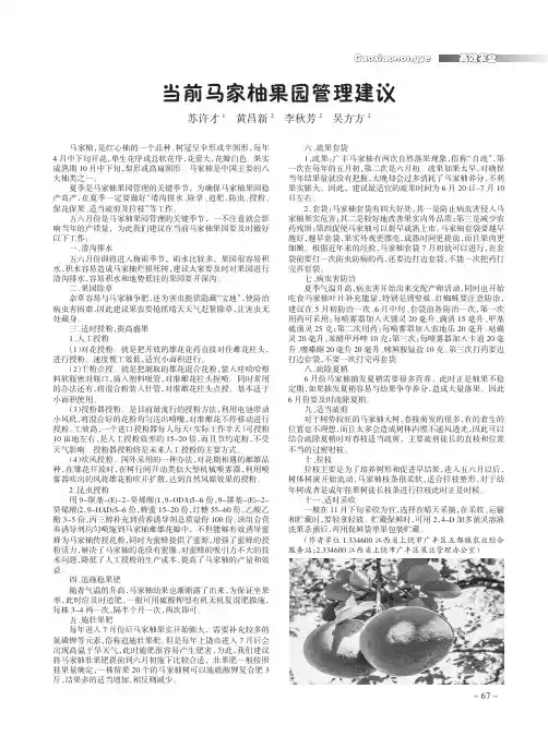 当前马家柚果园管理建议