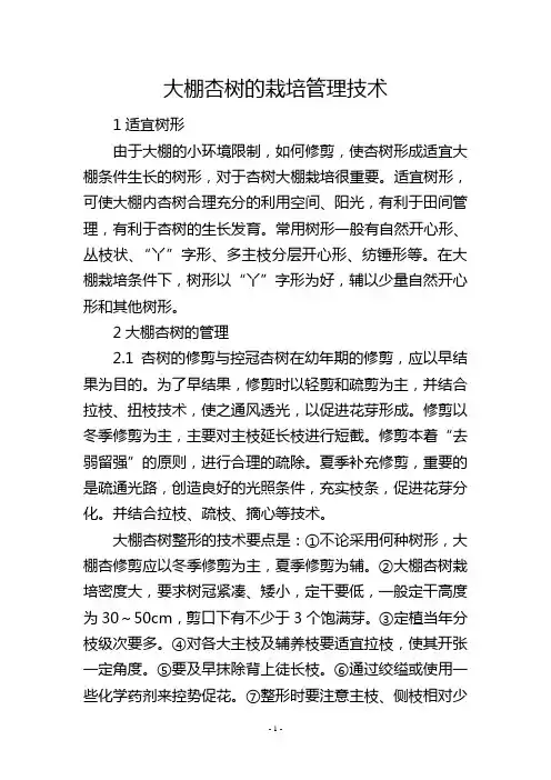 大棚杏树的栽培管理技术