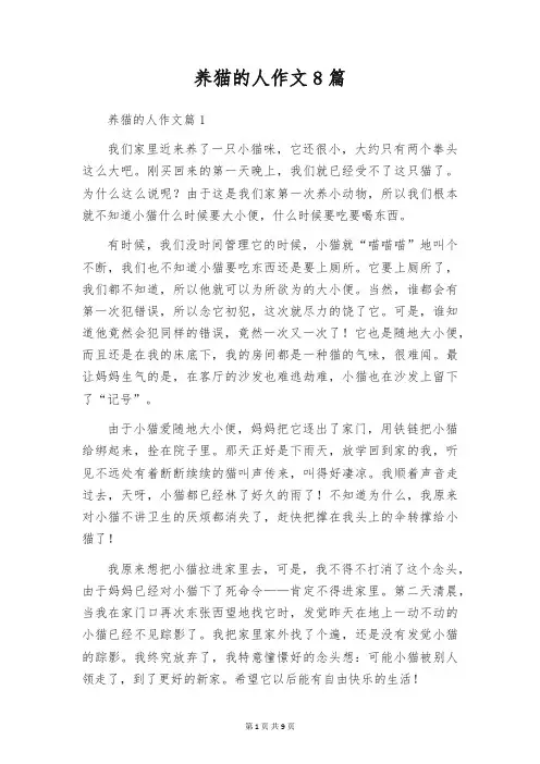养猫的人作文8篇