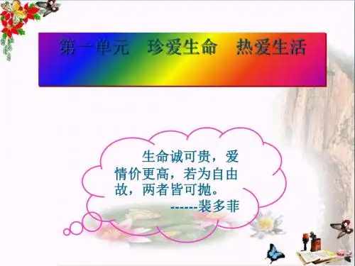 珍爱生命,热爱生活ppt优秀课件 鲁教版