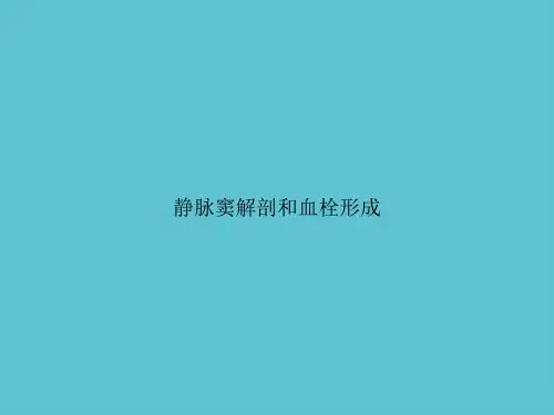 【实用】静脉窦解剖和血栓形成ppt资料
