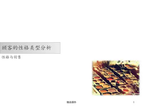 顾客类型分析技巧ppt课件