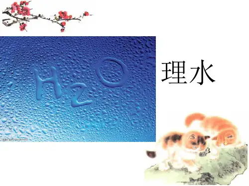 园林艺术之理水