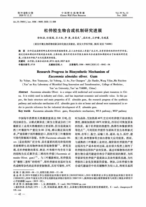 杜仲胶生物合成机制研究进展