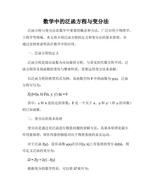 数学中的泛函方程与变分法