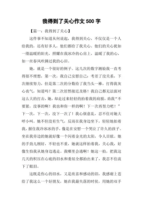 我得到了关心作文500字