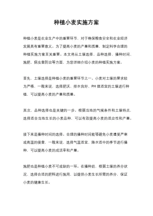 种植小麦实施方案