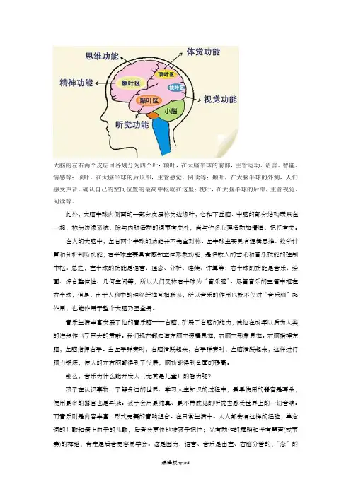 大脑的左右两个皮层可各划分为四个叶