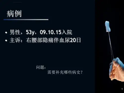肾结石病例讨论ppt课件