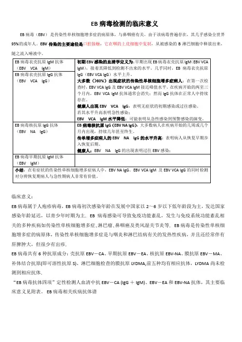 EB病毒抗体谱检测的临床意义