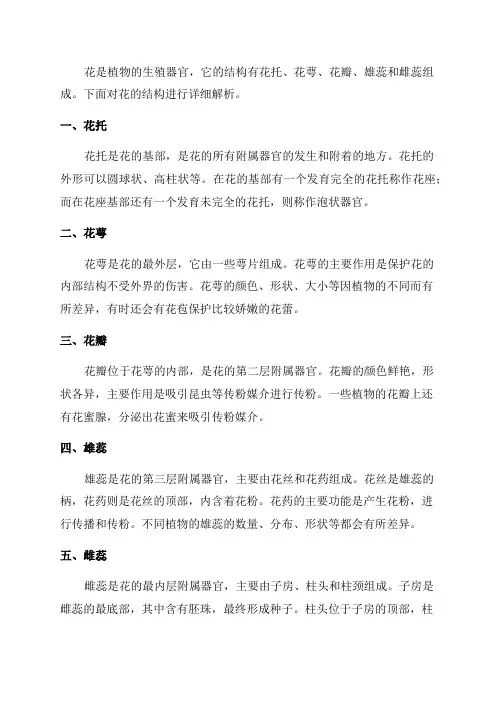 七年级生物花的结构解析
