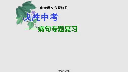 九年级语文病句专题复习PPT课件