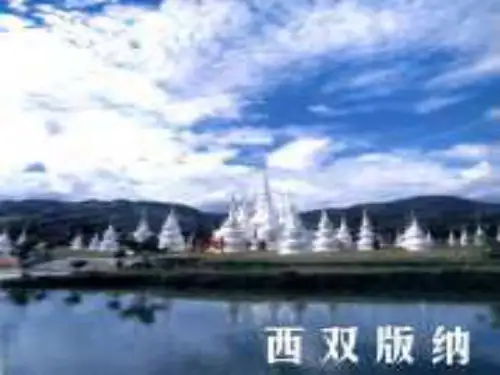 八年级语文 美丽的西双版纳ppt