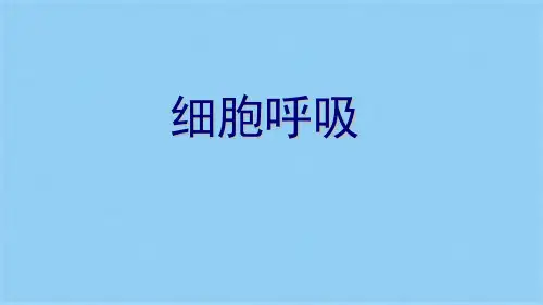 苏教版高中生物必修一第四章细胞呼吸原理的应用(共16张PPT)(共16张PPT)