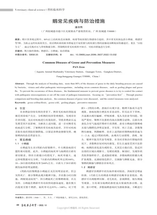 鹅常见疾病与防治措施